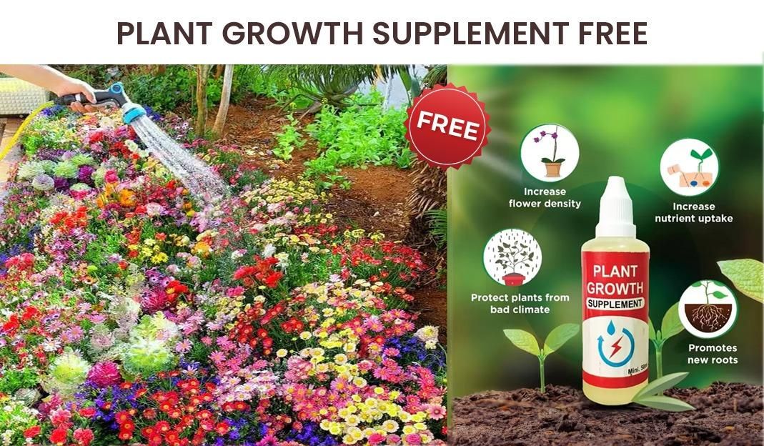 Grow a Wall of Roses at Home – Climbing Rose Seeds!