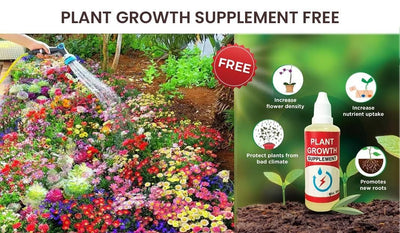 Grow a Wall of Roses at Home – Climbing Rose Seeds!