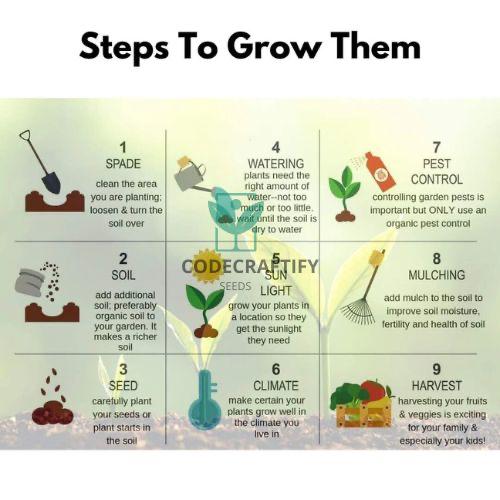 Grow a Wall of Roses at Home – Climbing Rose Seeds!