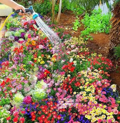 100+ Varieties of Flower Seeds – Grow a Colorful Garden at Home!