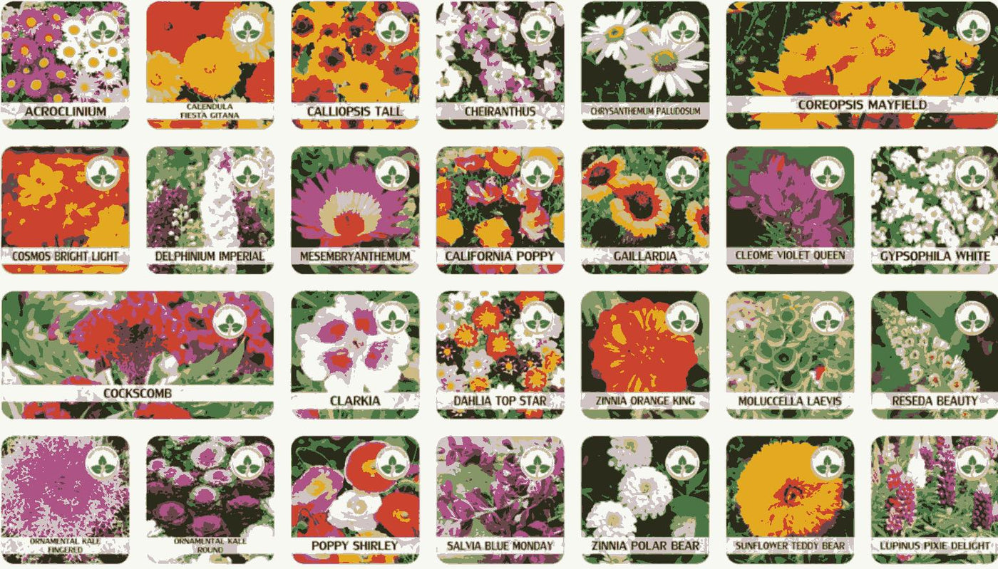 100+ Varieties of Flower Seeds – Grow a Colorful Garden at Home!