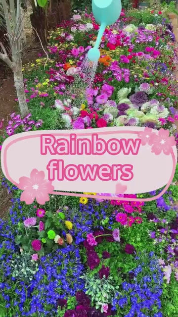 Grow a Wall of Roses at Home – Climbing Rose Seeds!